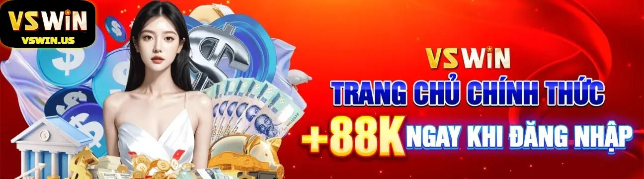 vswin banner